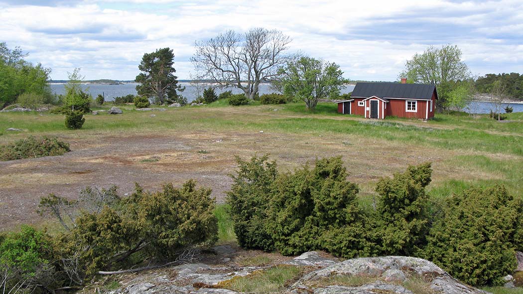 A few trees growing around an old cabin in the archipelago. The open sea can be seen in the background.