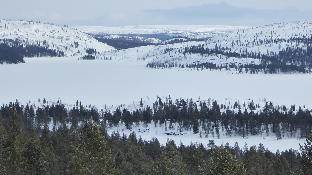 Tops of pine trees in the foreground and further back a snow-covered lake. Several fells with sparsely grown trees are rising from the opposite shore of the lake. Snow-covered fells can be seen in the distance.